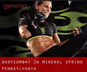 BodyCombat in Mineral Spring (Pennsylvania)