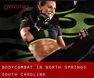 BodyCombat in North Springs (South Carolina)