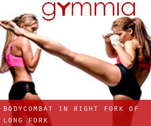 BodyCombat in Right Fork of Long Fork