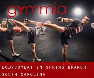 BodyCombat in Spring Branch (South Carolina)