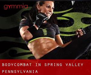 BodyCombat in Spring Valley (Pennsylvania)
