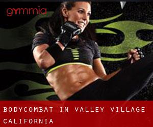 BodyCombat in Valley Village (California)
