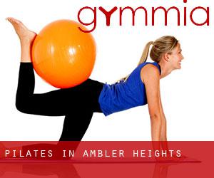 Pilates in Ambler Heights