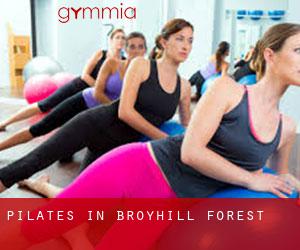 Pilates in Broyhill Forest