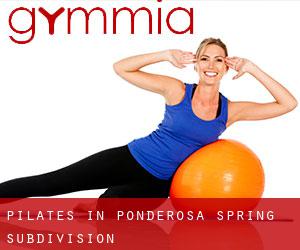 Pilates in Ponderosa Spring Subdivision