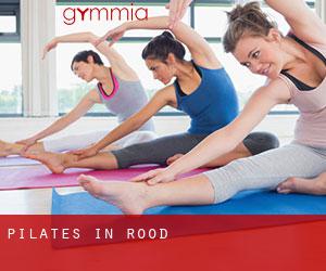 Pilates in Rood