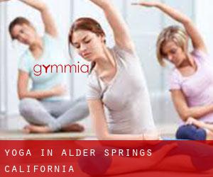 Yoga in Alder Springs (California)