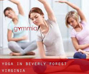 Yoga in Beverly Forest (Virginia)