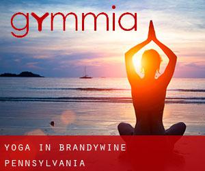 Yoga in Brandywine (Pennsylvania)