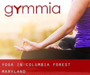 Yoga in Columbia Forest (Maryland)