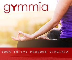 Yoga in Ivy Meadows (Virginia)