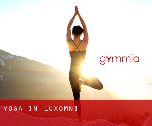 Yoga in Luxomni