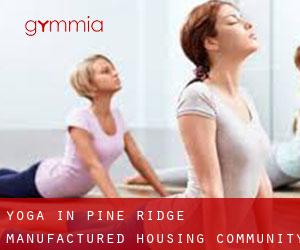 Yoga in Pine Ridge Manufactured Housing Community