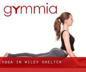 Yoga in Wiley Shelter