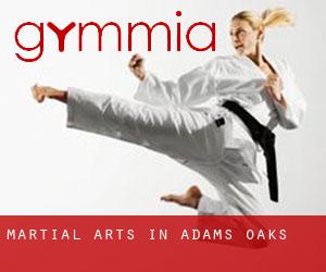 Martial Arts in Adams Oaks