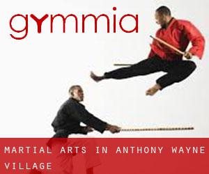 Martial Arts in Anthony Wayne Village