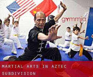Martial Arts in Aztec Subdivision