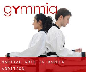 Martial Arts in Barger Addition