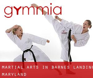 Martial Arts in Barnes Landing (Maryland)
