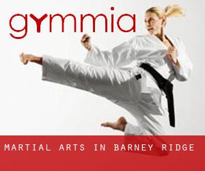 Martial Arts in Barney Ridge