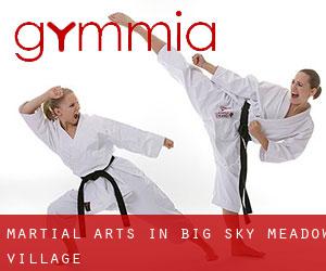Martial Arts in Big Sky Meadow Village