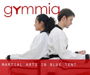 Martial Arts in Blue Tent