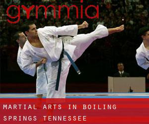 Martial Arts in Boiling Springs (Tennessee)