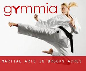 Martial Arts in Brooks Acres