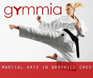 Martial Arts in Broyhill Crest