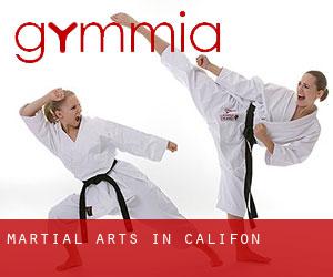 Martial Arts in Califon