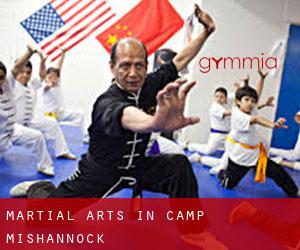 Martial Arts in Camp Mishannock