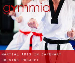 Martial Arts in Capehart Housing Project