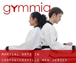 Martial Arts in Carpentersville (New Jersey)