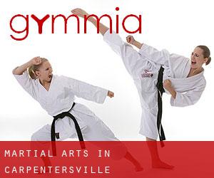 Martial Arts in Carpentersville