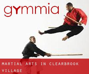Martial Arts in Clearbrook Village