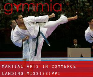 Martial Arts in Commerce Landing (Mississippi)