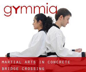 Martial Arts in Concrete Bridge Crossing