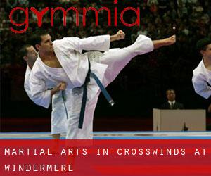 Martial Arts in Crosswinds At Windermere