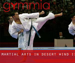 Martial Arts in Desert Wind II