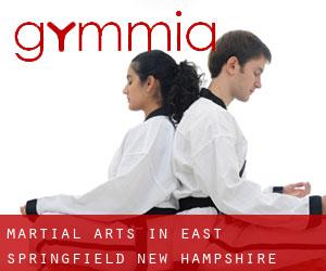 Martial Arts in East Springfield (New Hampshire)