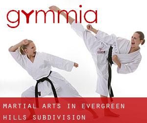 Martial Arts in Evergreen Hills Subdivision