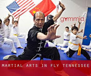 Martial Arts in Fly (Tennessee)