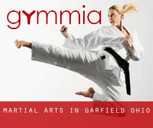 Martial Arts in Garfield (Ohio)