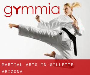 Martial Arts in Gillette (Arizona)