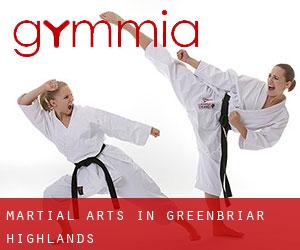 Martial Arts in Greenbriar Highlands