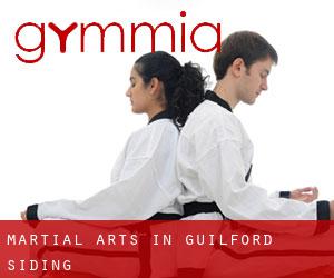 Martial Arts in Guilford Siding