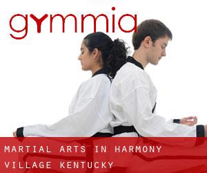 Martial Arts in Harmony Village (Kentucky)