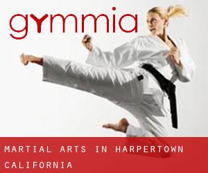 Martial Arts in Harpertown (California)