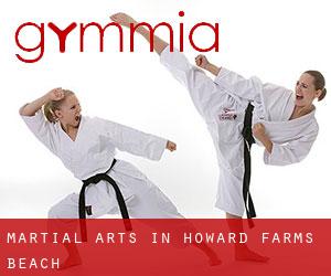 Martial Arts in Howard Farms Beach