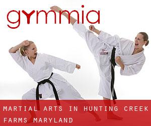 Martial Arts in Hunting Creek Farms (Maryland)